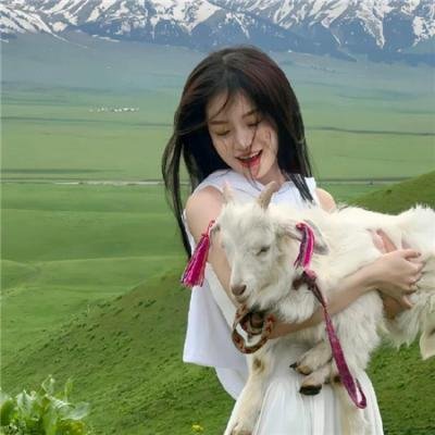 无尽的战壕